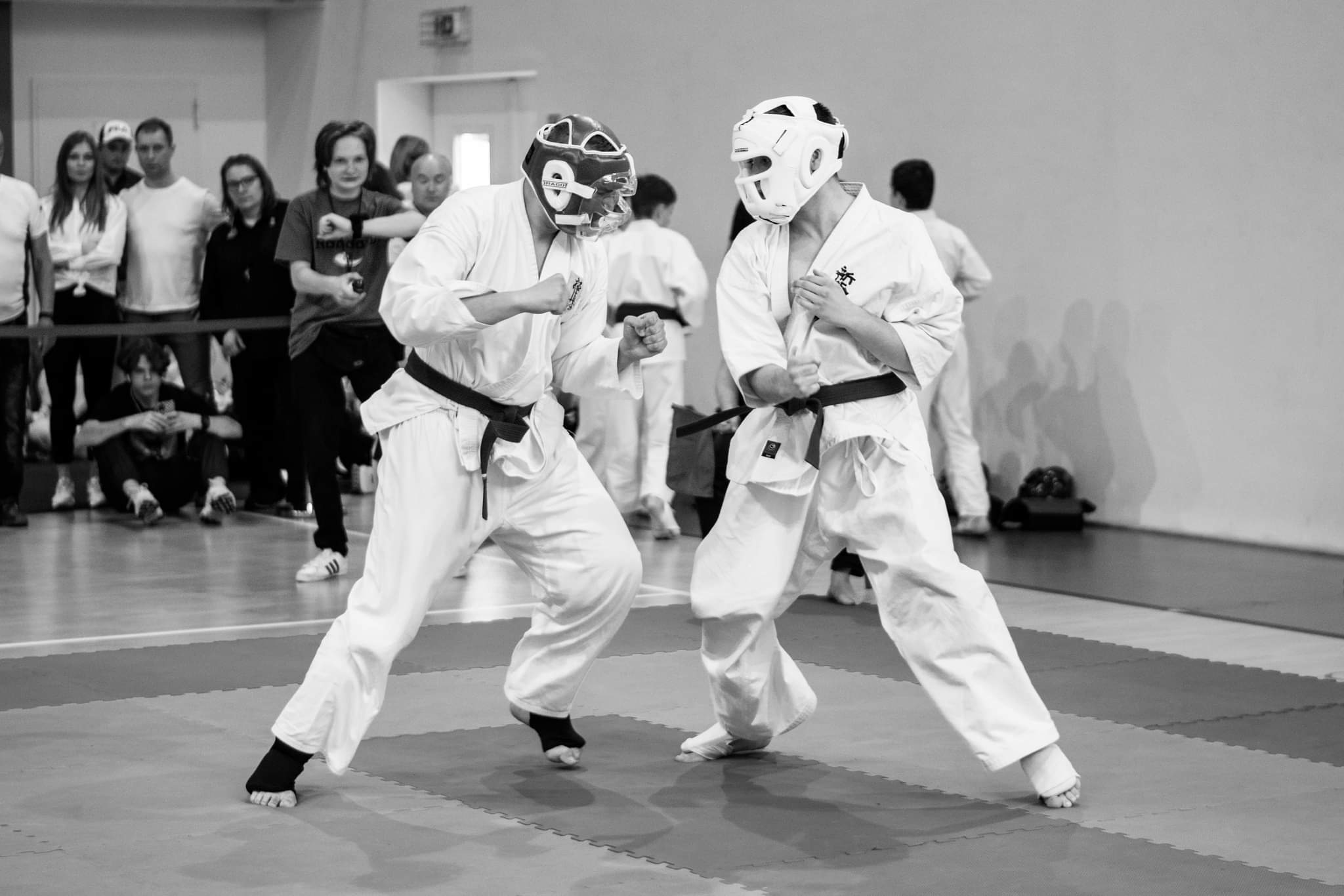 RANDORI CUP