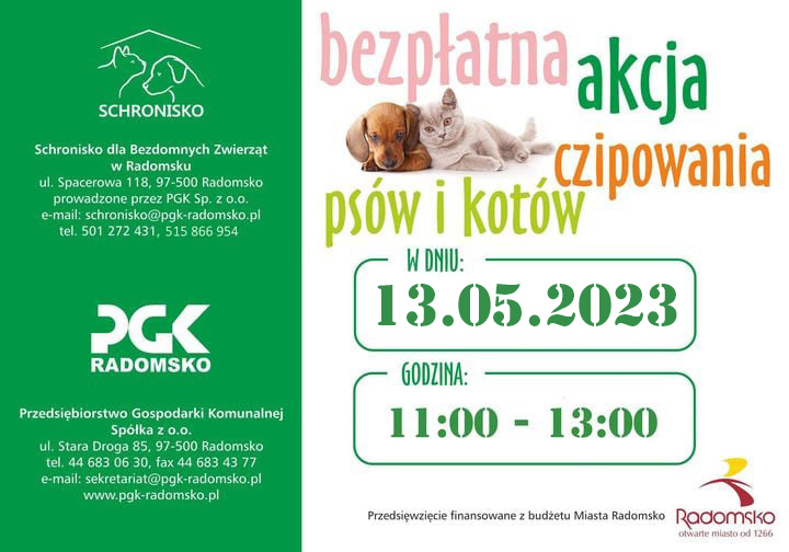 Bezpłatne czipowanie psów i kotów