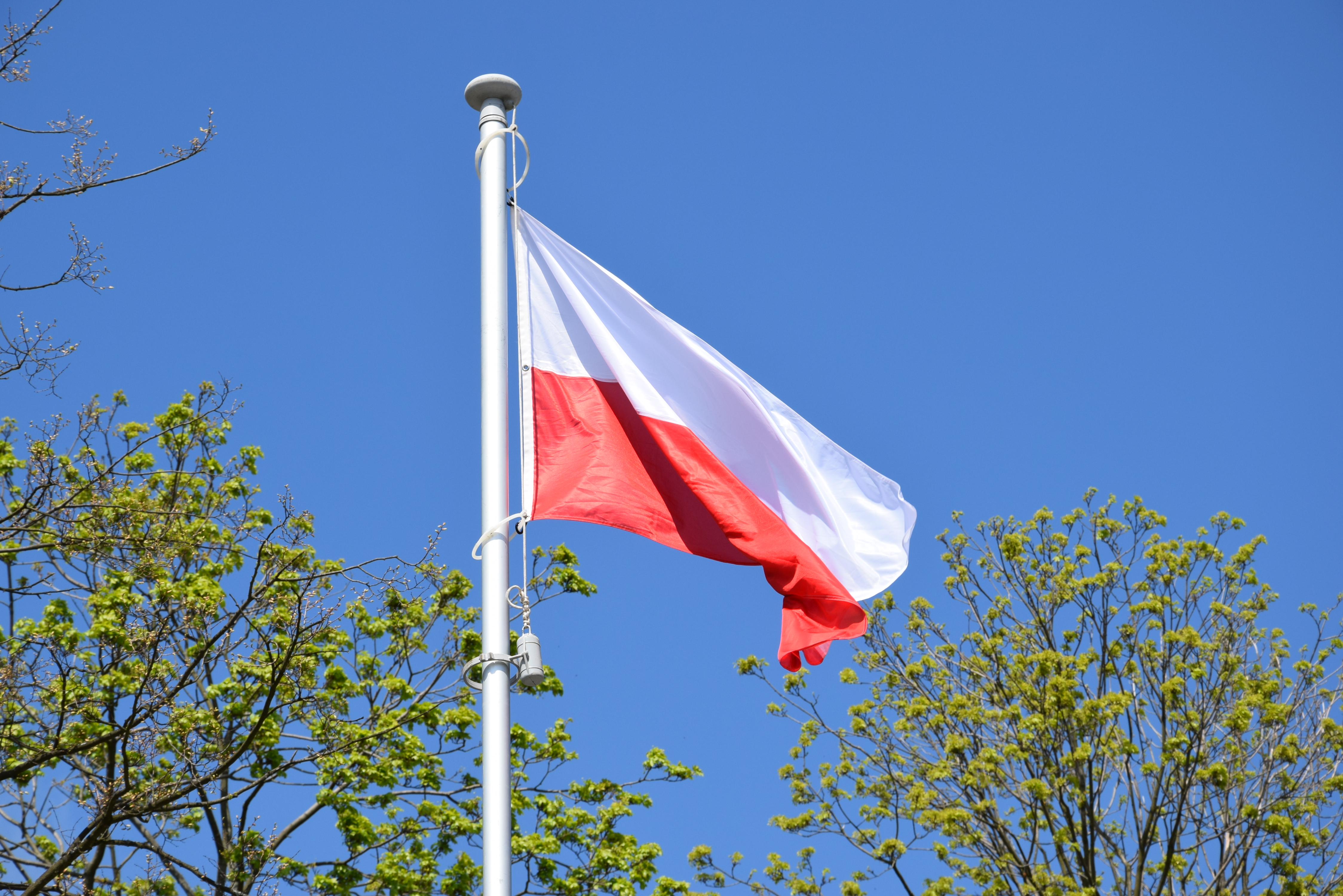 Program obchodów 235. rocznicy Uchwalenia Konstytucji 3 Maja! 