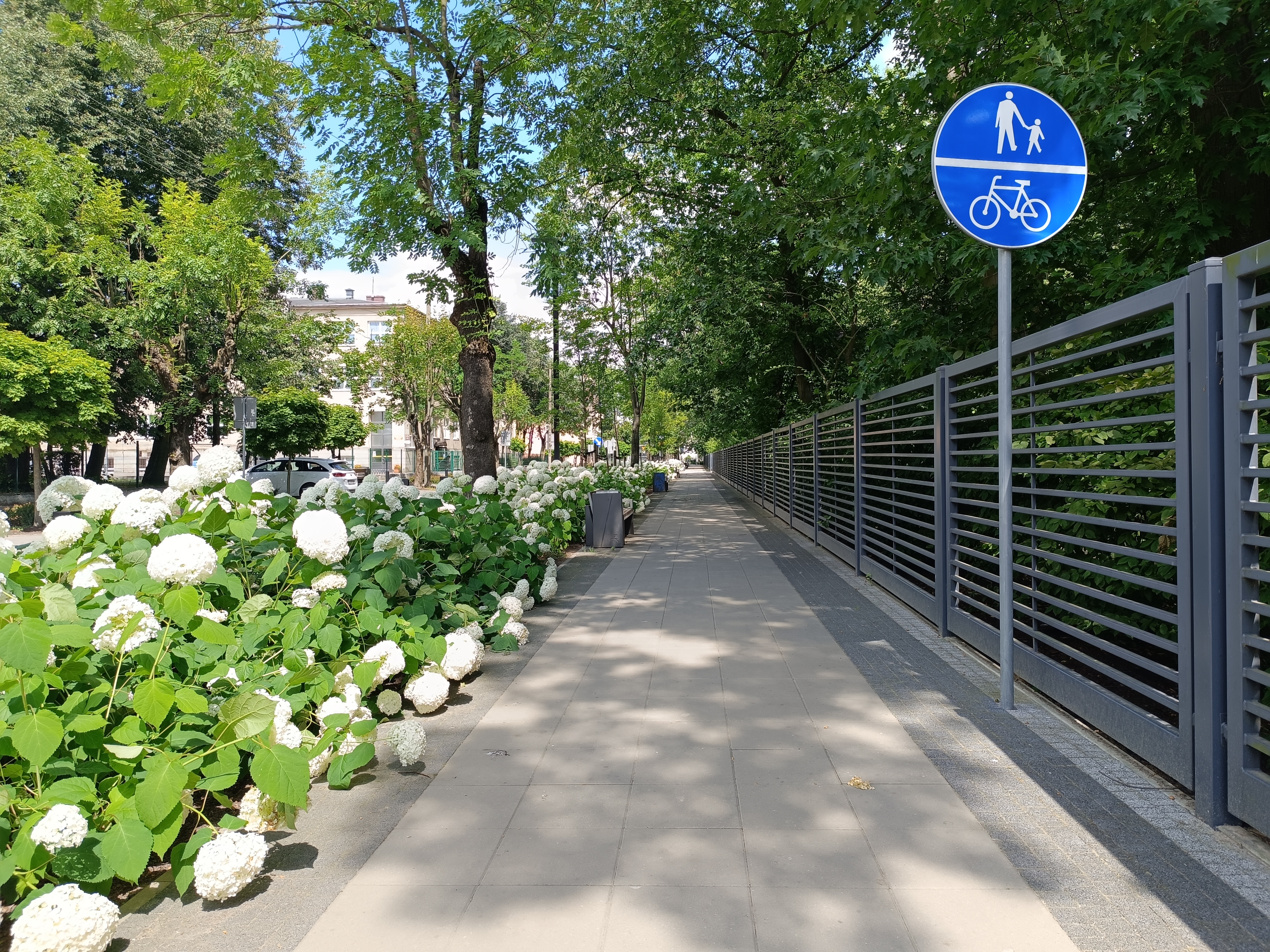 Powstaną nowe ścieżki rowerowe