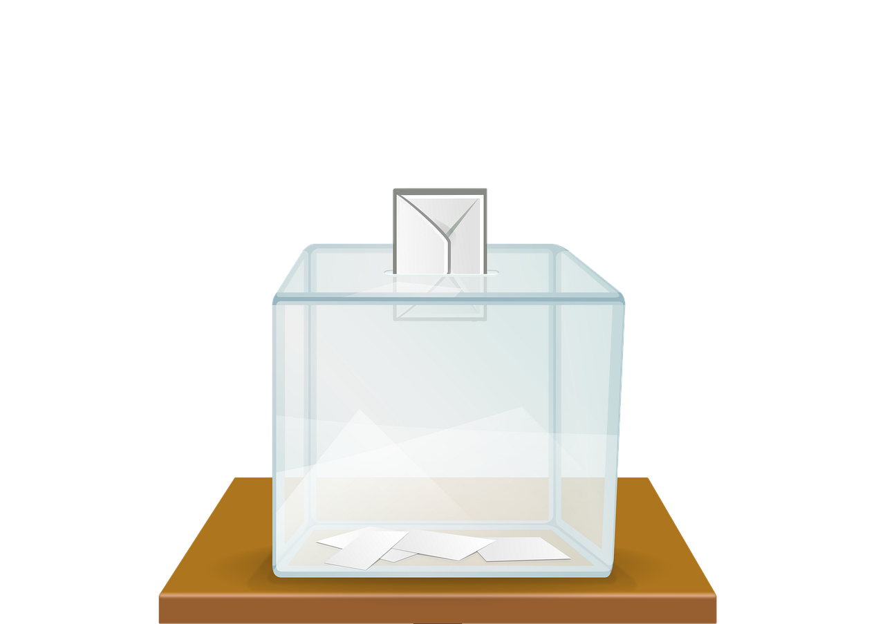 Referendalna dezinformacja